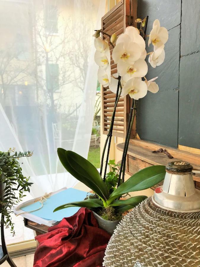La Casa Di Gabri Bed & Breakfast Iseo Eksteriør bilde