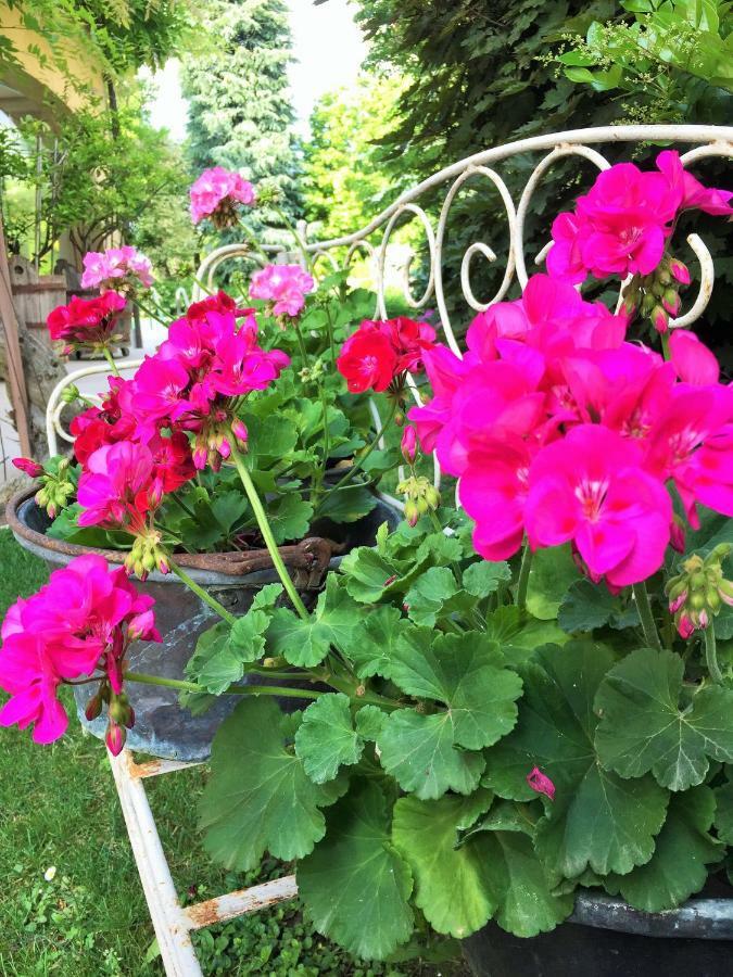 La Casa Di Gabri Bed & Breakfast Iseo Eksteriør bilde